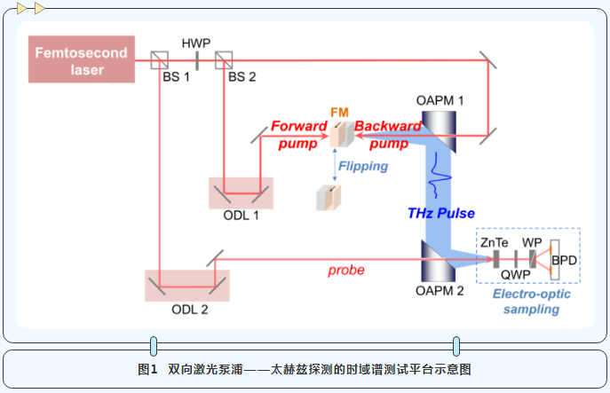 QQ浏览器截图20231013102343.png
